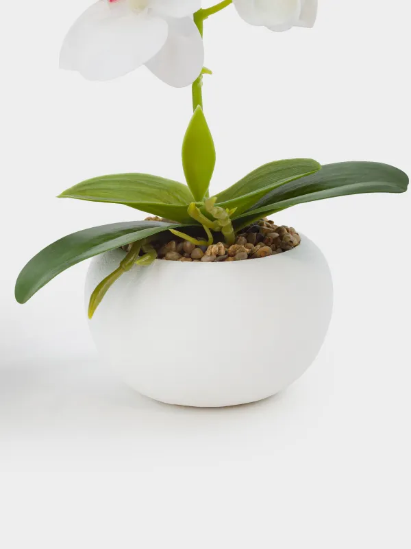 Жасанды өсімдік, 22 см, құмырада, термопластикалық резеңке/керамика, Ақ орхидея, Orchid, image-1
