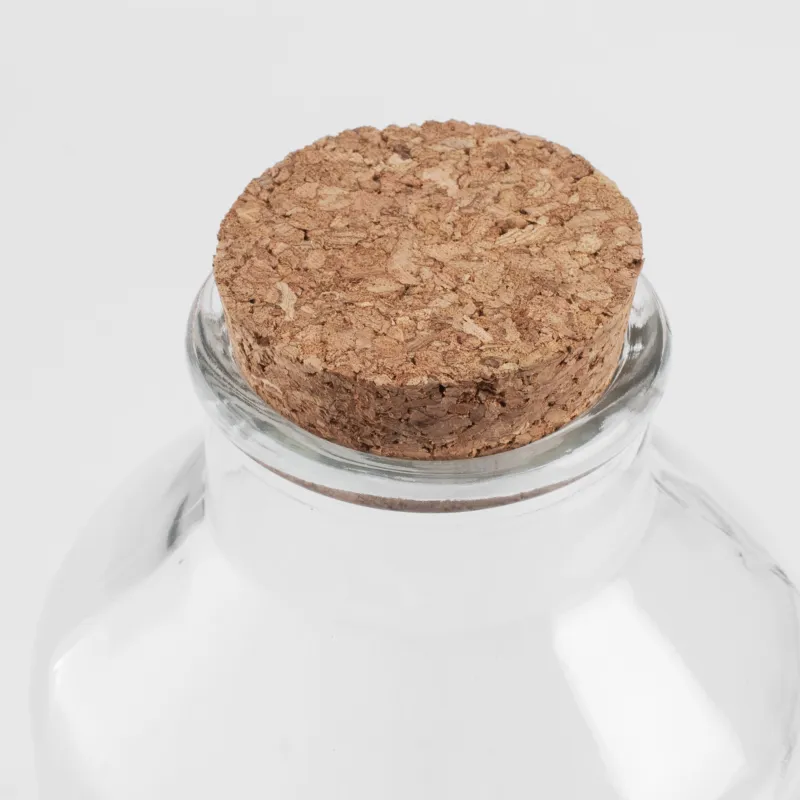 Сусымалы азық-түлікке арналған құты, 750 мл, шыны / тығын, Clear cork, image-2