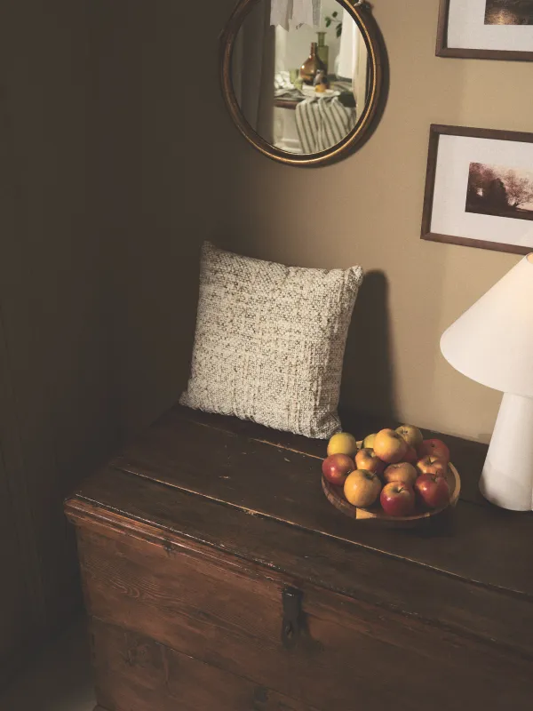 Сәндік жастық, 45х45 см, барқыт, сарғылт-қоңыр, Nordkap, image-5