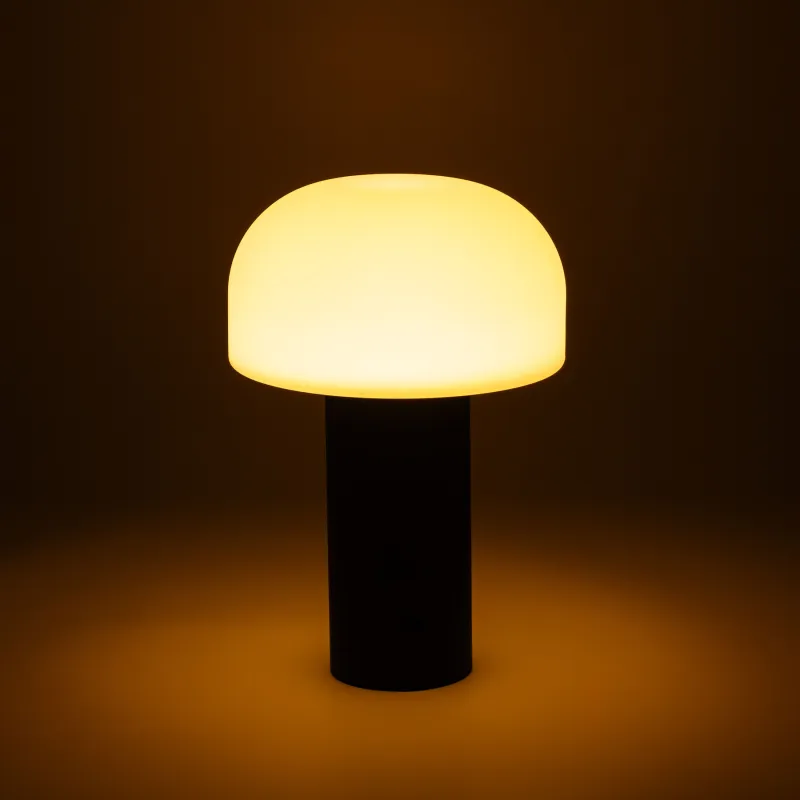 Светильник беспроводной, 15х22 см, с USB/Type-C разъемами, металл/пластик, черно-белый, B&W, image-0