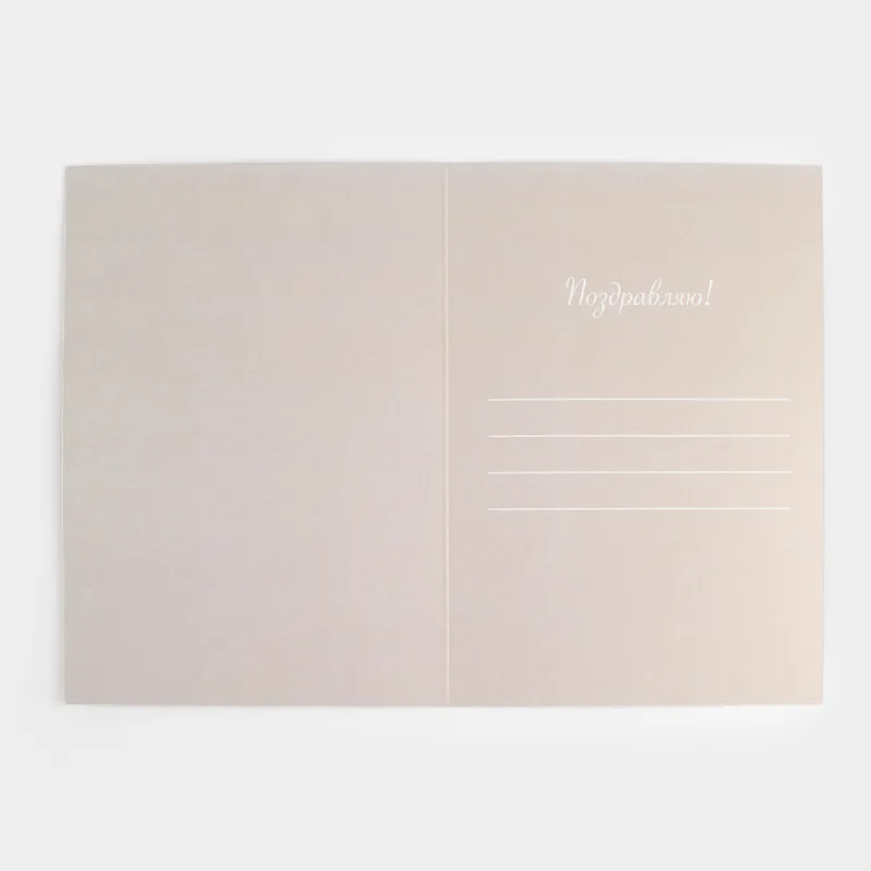 Открытка подарочная, 12х17 см, бумага, серо-коричневая, Сухоцветы, Congrats, image-4