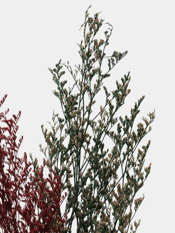Букет декоративный, 60 см, сухоцветы, Лаванда и овес, Dried flower, image-2