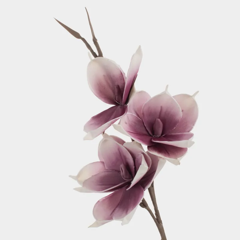 Сәндік бұтақ, 91 см, пластик/пенопласт, Ақ магнолия, Magnolia, image-1