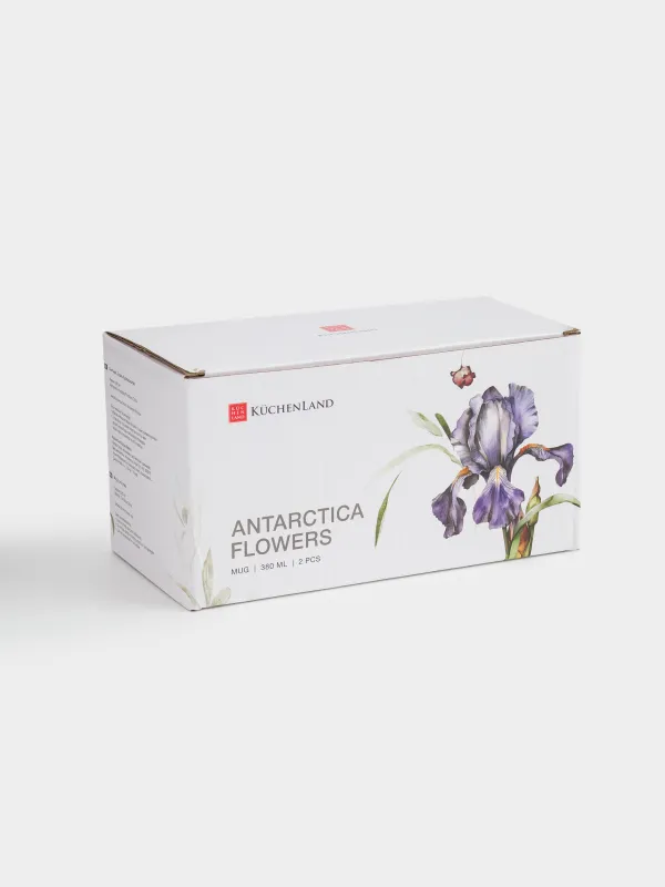 Кружка, 380 мл, 2 шт, фарфор F, белая, с серебристым кантом, Ирис, Antarctica Flowers, image-5