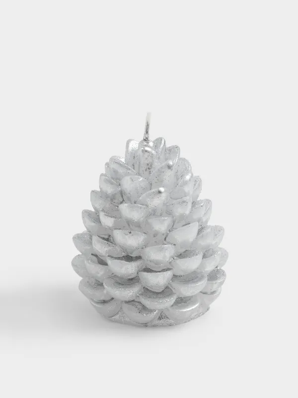 Шам, 6x8 см, күміс, Шырша бүршігі, Winter delice, image-0