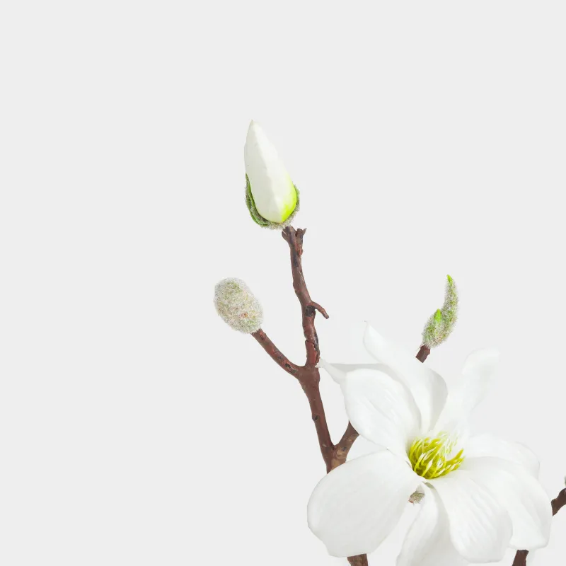 Ветка декоративная, 45 см, пластик/металл, Белая магнолия, Magnolia, image-3