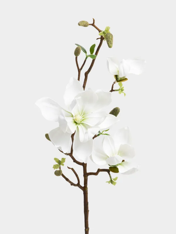 Ветка декоративная, 90 см, Белая магнолия, Magnolia, image-1