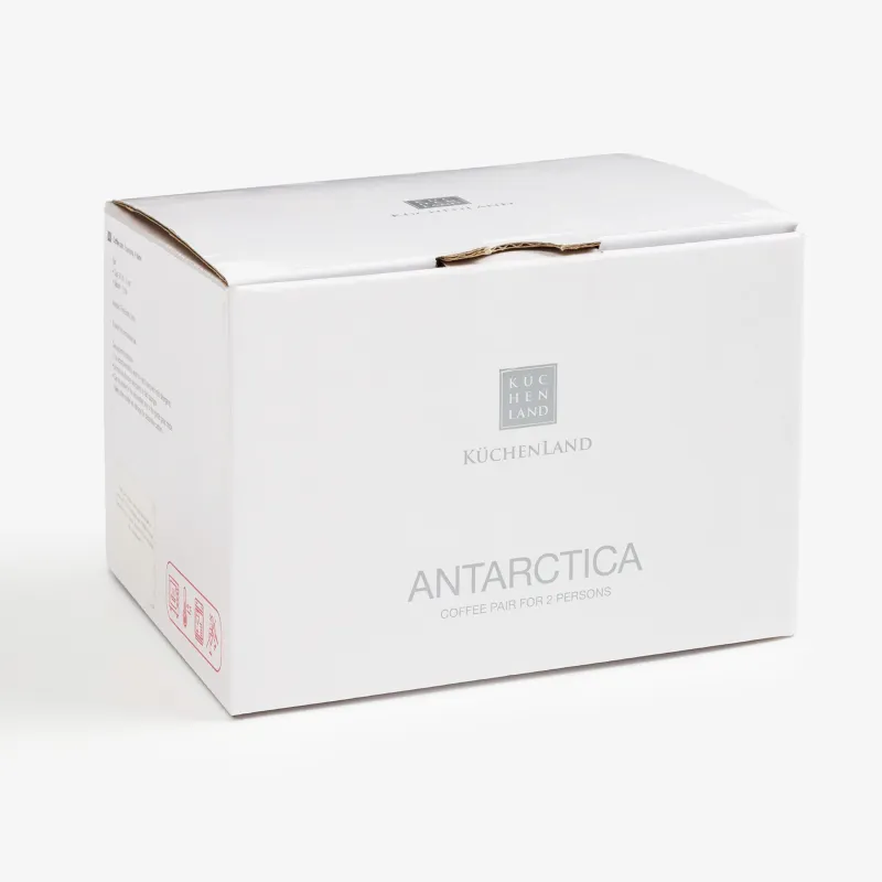 Пара кофейная, 2 перс, 4 пр, 90 мл, фарфор F, Antarctica, image-5