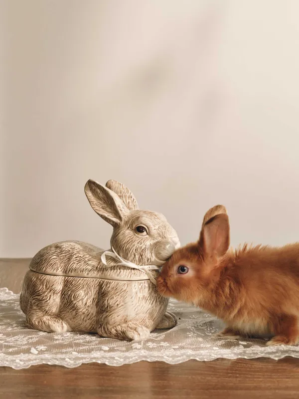 Емкость для хранения, 800 мл, Кролик, Easter lace, image-7