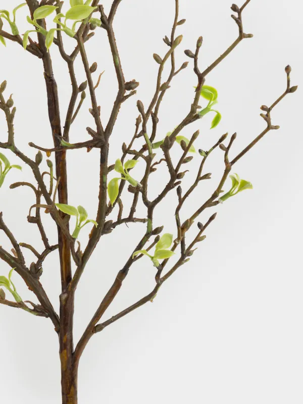 Сәндік бұтақ, 88 см, пластик/қағаз, Жапырақшалар, Flower garden, image-2