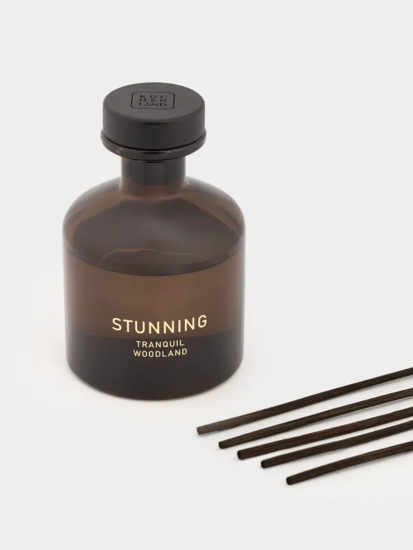 Хош иісті диффузор, 200 мл, Tranquil Woodland, Stunning, image-2