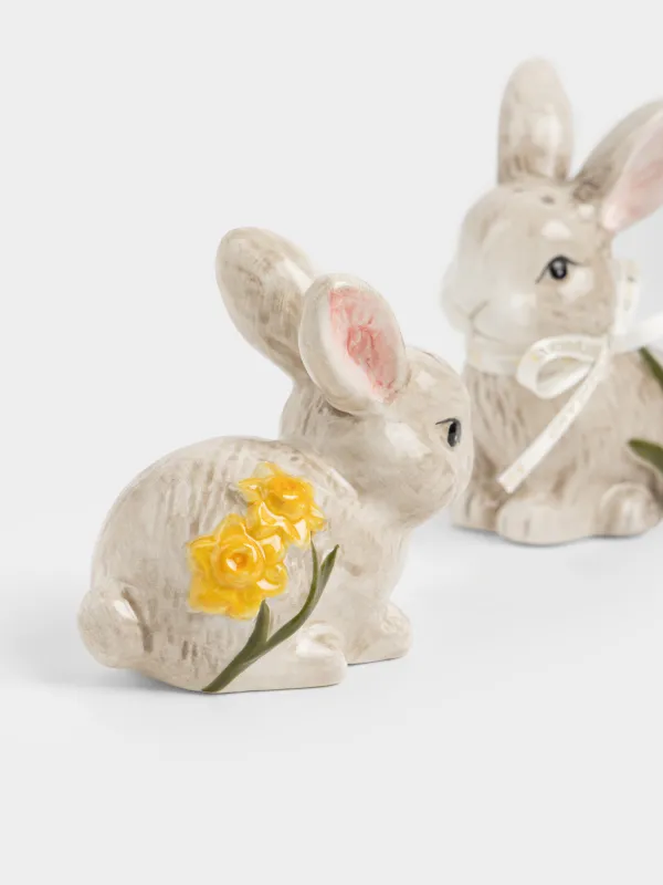 Тұз және бұрыш жиынтығы, 10 см, керамика, сарғылт-қоңыр, Гүлдері бар қояндар, Rabbit in narcis, image-1