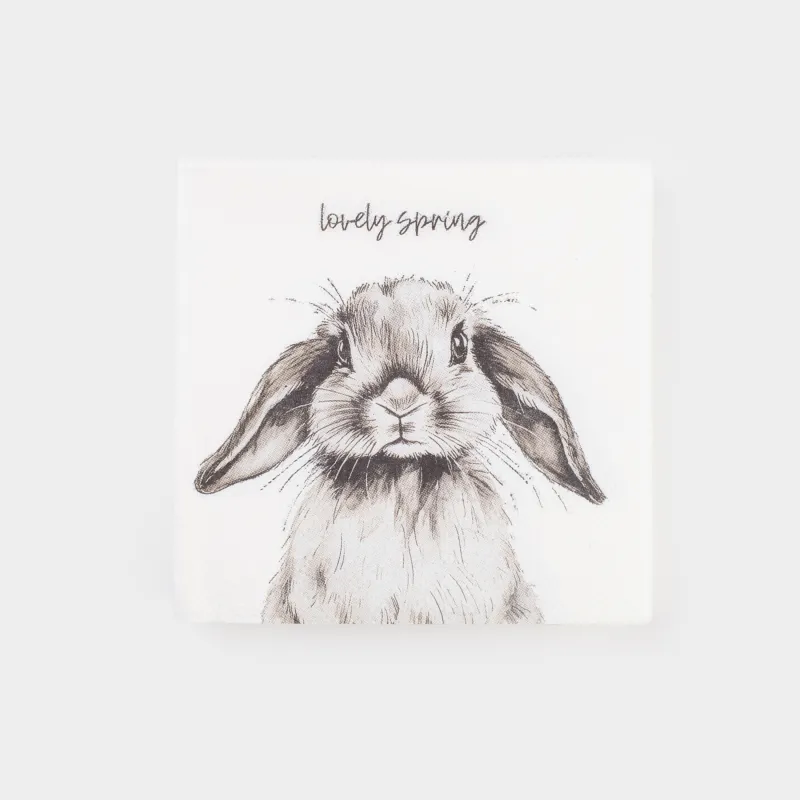 Қағаз майлықтар, 21х21 см, 20 дана, төртбұрышты, сүт түстес, Қоян, Natural Easter