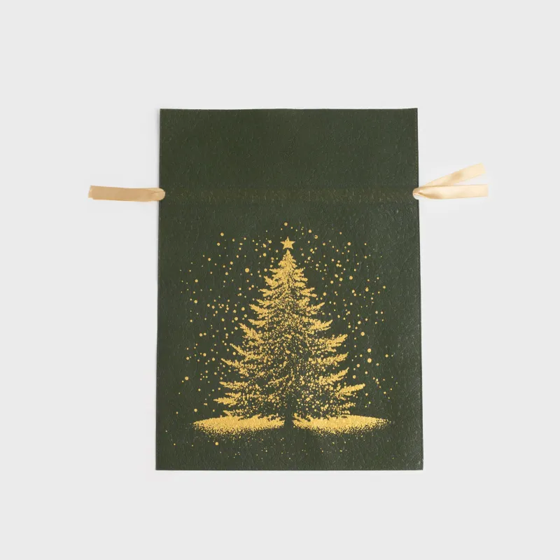 Сыйлық пакеті, 20х30 см, жіптері бар, полипропилен, көк, Шырша, Night spruce