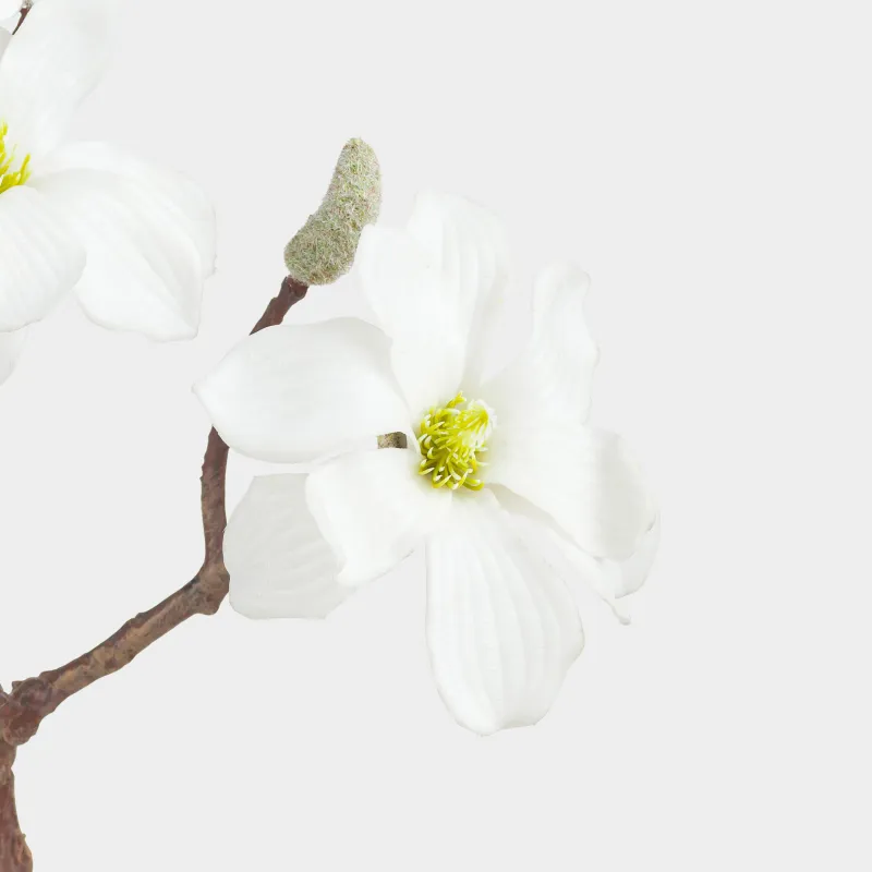 Ветка декоративная, 45 см, пластик/металл, Белая магнолия, Magnolia, image-2