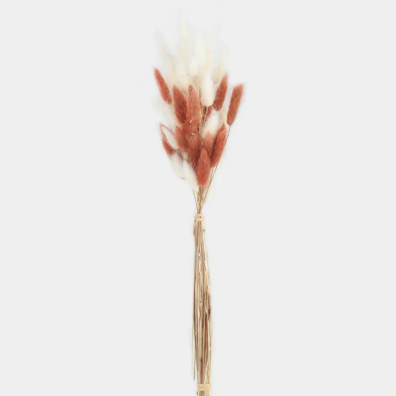 Букет декоративный, 60 см, сухоцветы, бежевый/белый, Колоски, Dried flower