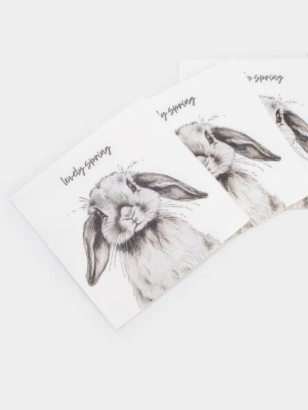 Салфетки бумажные, 21х21 см, 20 шт, квадратные, молочные, Кролик, Natural Easter, image-2
