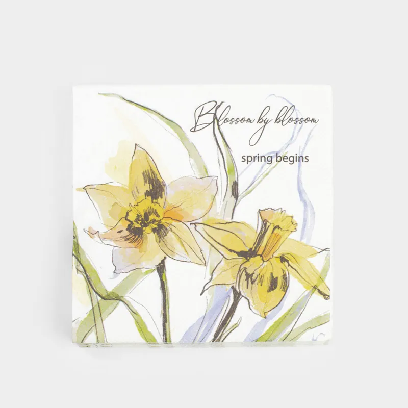 Қағаз майлықтар, 33х33 см, 20 дана, төртбұрышты, ақ, Нәркестер, Bloom