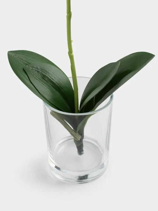 Букет искусственный, 26 см, ТЭП/стекло, Orchid, image-2