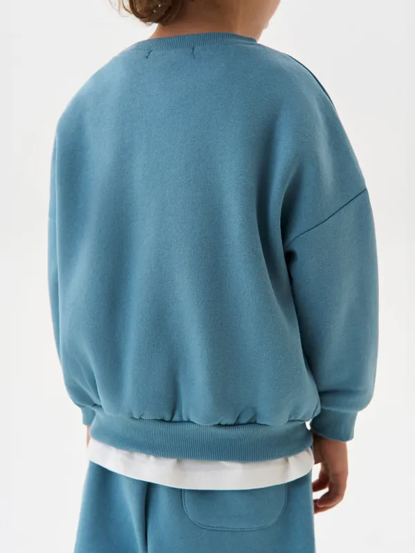 Свитшот детский, для мальчиков, хлопок/полиэстер, голубой, Arnold, image-2