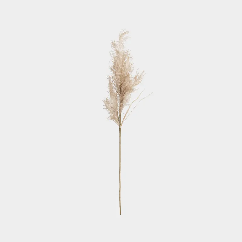 Сәндік бұтақ, 1 м, полиэстер/қағаз, Пампа шөбі, Meadow decor