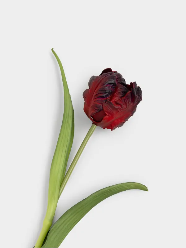 Жасанды гүл, 40 см, ПВХ/металл, Қызыл қызғалдақ, Tulip garden, image-1