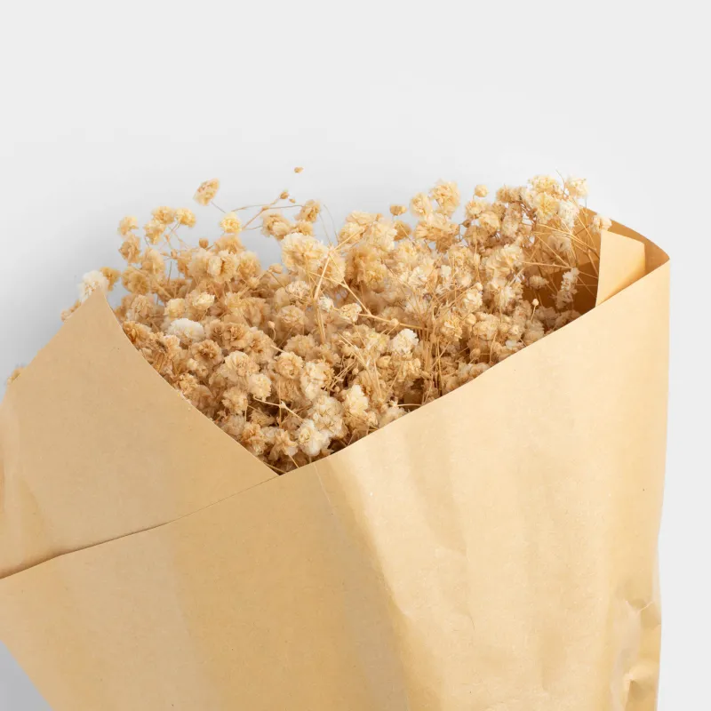 Букет декоративный, 37 см, сухоцветы, Бежевая гипсофила, Dried flower, image-1