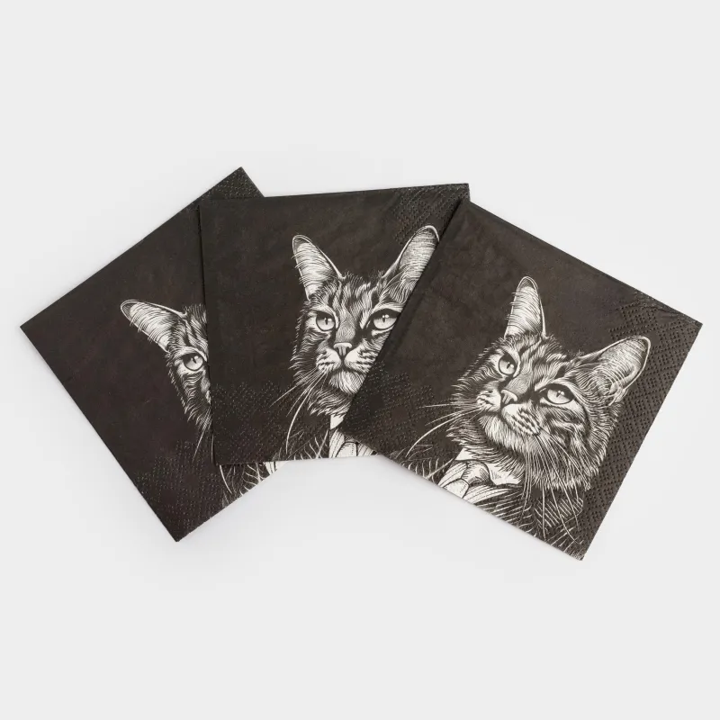 Қағаз майлықтар, 21х21 см, 20 дана, төртбұрышты, қара, Костюмдегі мысық, Cat, image-2