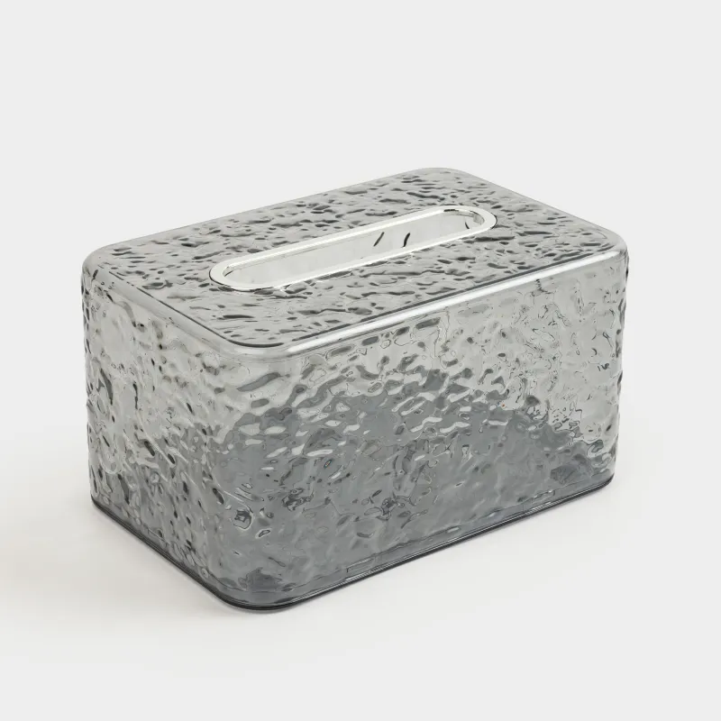 Қағаз майлықтарға арналған қорап, 19х12 см, серіппесі бар, пластик/металл, сұр, Renaissance clear, image-1