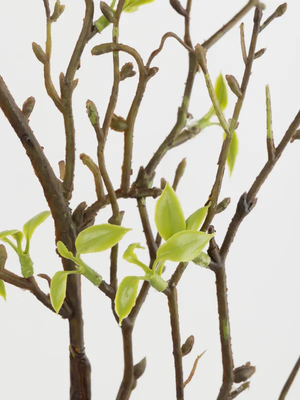 Сәндік бұтақ, 88 см, пластик/қағаз, Жапырақшалар, Flower garden, image-3