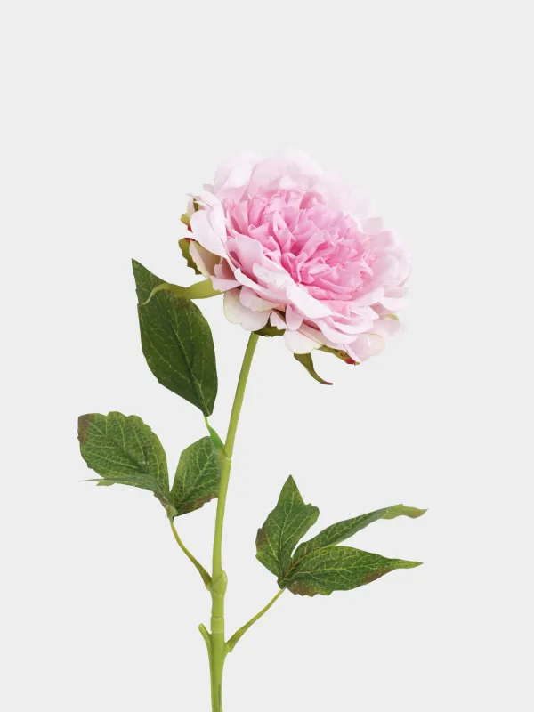 Цветок искусственный, Пион, Peony garden, image-1