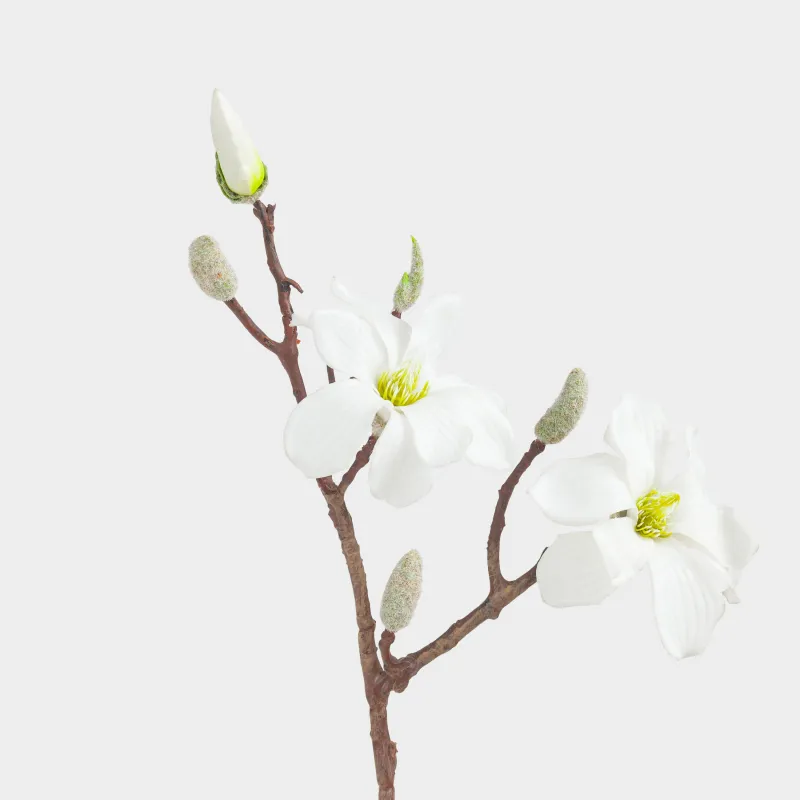 Ветка декоративная, 45 см, пластик/металл, Белая магнолия, Magnolia, image-1