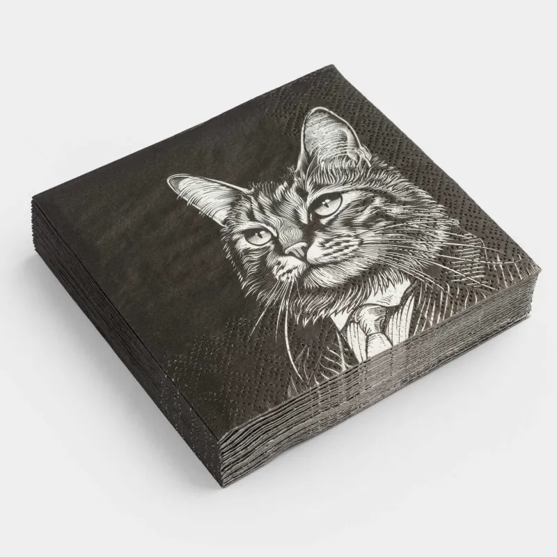 Қағаз майлықтар, 21х21 см, 20 дана, төртбұрышты, қара, Костюмдегі мысық, Cat, image-1