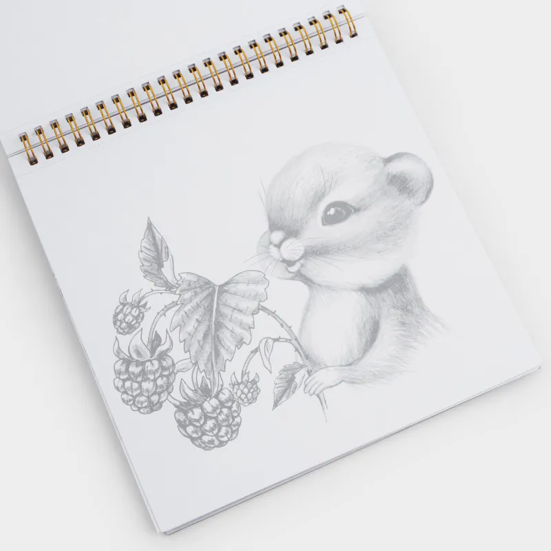 Альбом для раскрашивания, 21х21 см, 24 листа, на кольцах, Животные, Draw creative, image-5