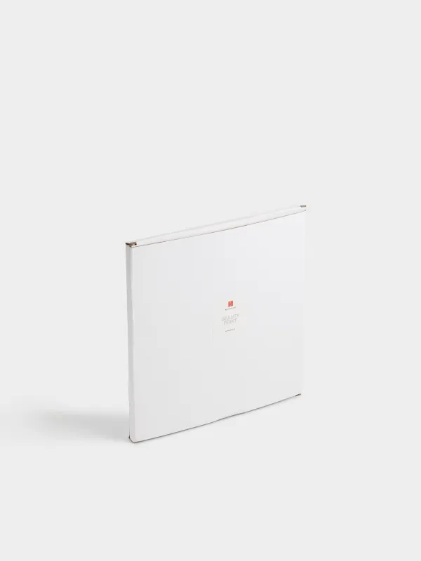 Зергерлік бұйымдарға арналған науа, 20х20х4 см, жасанды былғары, түс, Гүлдер, Beauty print, image-6