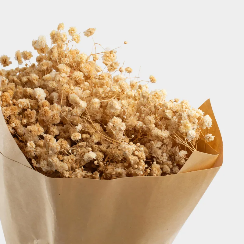 Букет декоративный, 37 см, сухоцветы, Бежевая гипсофила, Dried flower, image-3