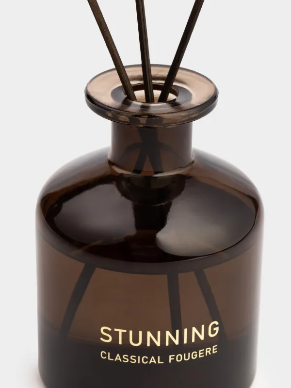 Хош иісті диффузор, 200 мл, Classical Fougere, Stunning, image-1