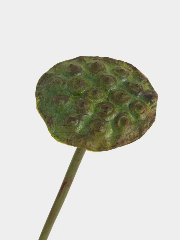 Цветок искусственный, 76 см, полиуретан, Лотос, Flower garden, image-1