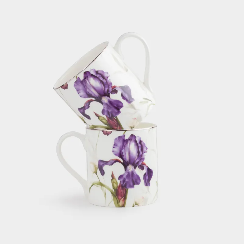 Кружка, 380 мл, 2 шт, Ирис, Antarctica Flowers