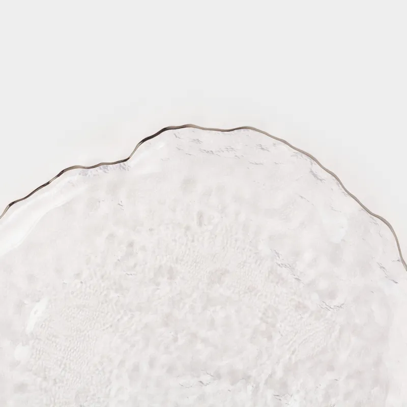 Ыдыс, 30 см, шыны, күміс жиектері бар, Nautilus silver, image-5