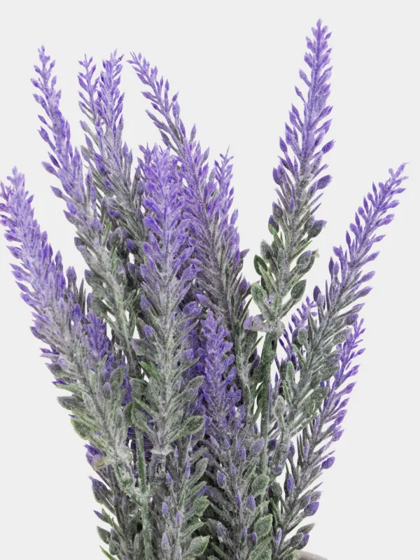 Жасанды өсімдік, 26 см, құмырада, пластик/цемент, Лаванда, Lavender, image-2