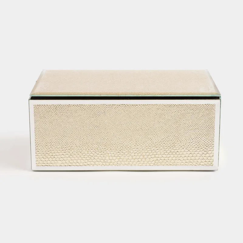 Зергерлік қобдиша, 21х13 см, шыны, алтын, Жылан принті, Snake print, image-1