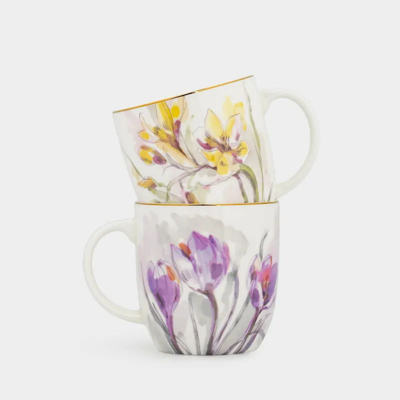 Саптыаяқ, 370 мл, 2 дана, фарфор F, ақ, алтын жиектері бар, Көктемгі гүлдер, Bloome