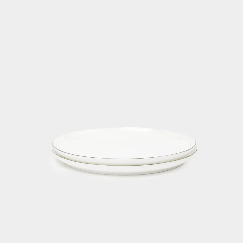 Тарелка закусочная, 24 см, 2 шт, фарфор F, Antarctica