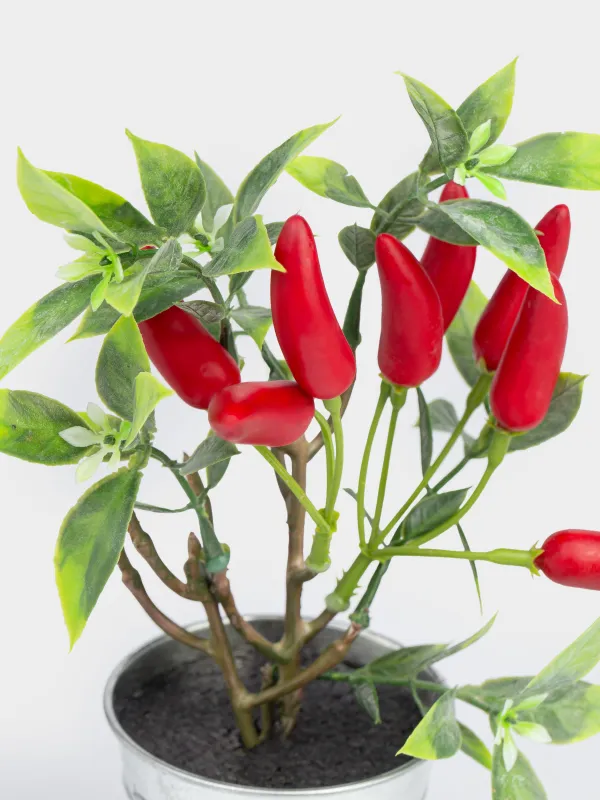 Композиция декоративная, 20 см, в горшке, пенопласт/пластик, Красный перец, Vegetable shape, image-2