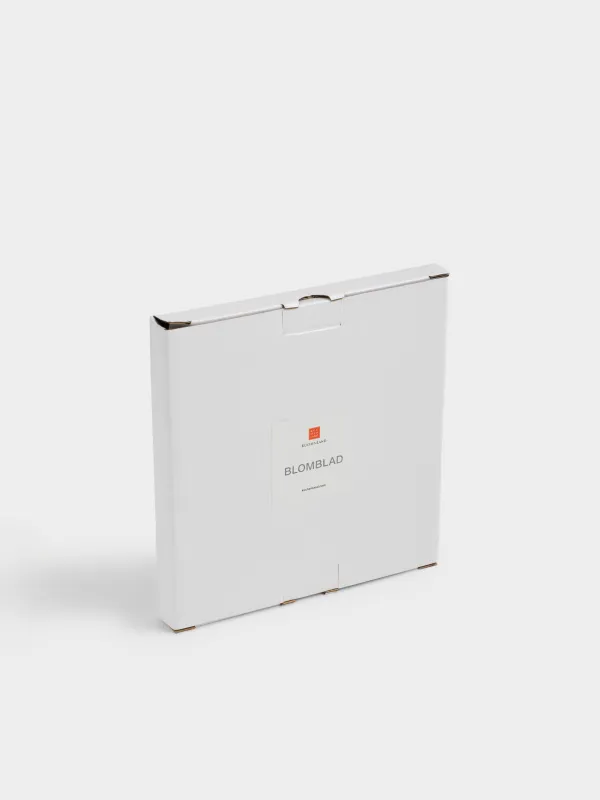 Тіскебасар тәрелкесі, 20x15 см, фарфор P, ақ, Жапырақ, Blomblad, image-6