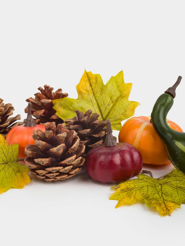 Декоративтік жиынтық, 13х30 см, торда, пенопласт, Шырша бүршіктері мен жапырақтары бар асқабақтар, Autumn fusion, image-3