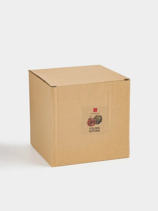 Сақтау ыдысы, 15х16 см, мл, керамика, қою қызыл-алтын, Асқабақтағы кірпі, Colors autumn, image-6