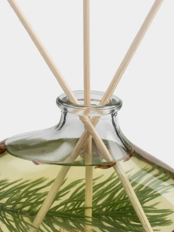 Ароматический диффузор, 230 мл, с шишками и корицей, Escape, Raizen, image-1