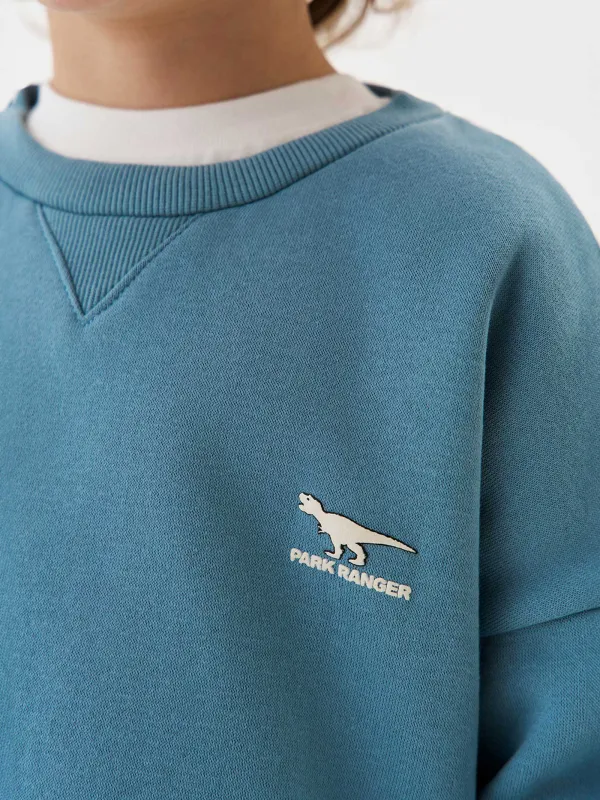 Свитшот детский, для мальчиков, хлопок/полиэстер, голубой, Arnold, image-1